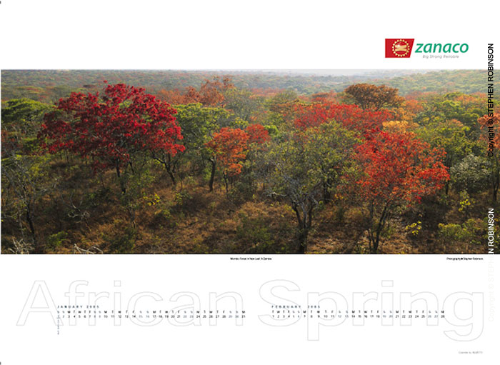 004_African-Spring-Corporate-Wall-Calendar-for-ZNCB-Bank-Pg2