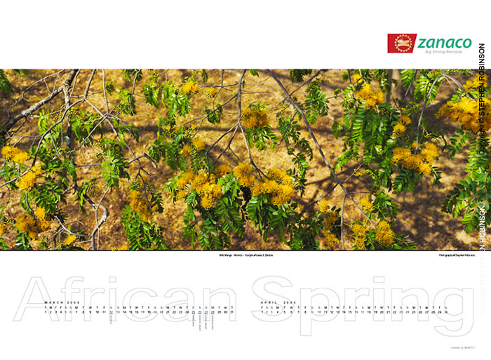 006_African-Spring-Corporate-Wall-Calendar-for-ZNCB-Bank-Pg3