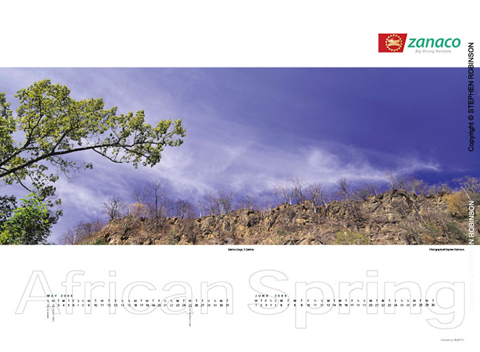 008_African-Spring-Corporate-Wall-Calendar-for-ZNCB-Bank-Pg4