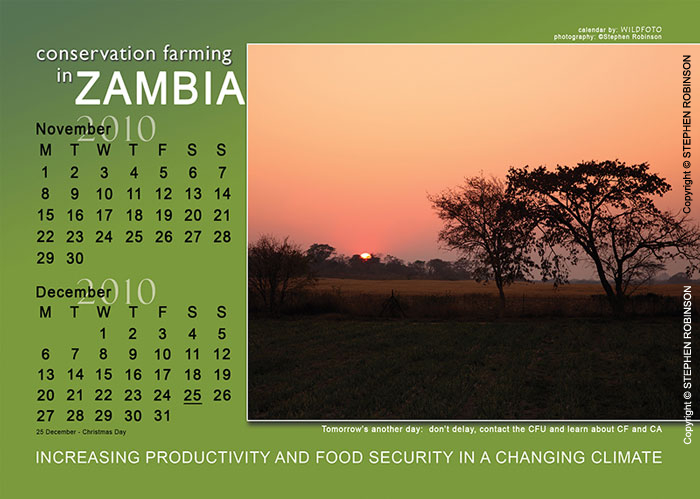 008-Agric-Project-Project-Wall-&-Desk-Calendars 2010