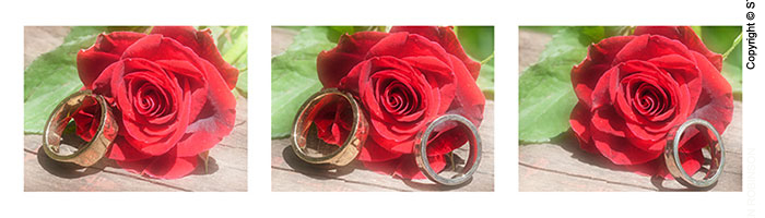065_Triptych-Rings-4487.4485.4489