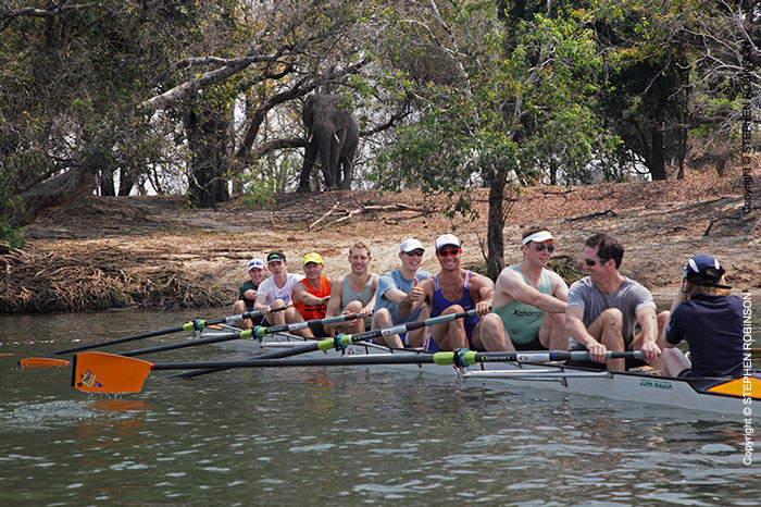 006_SZmR.9816-Rowing-&-Zambezi-Wildlife-Cambridge-Crew-&-Elephant