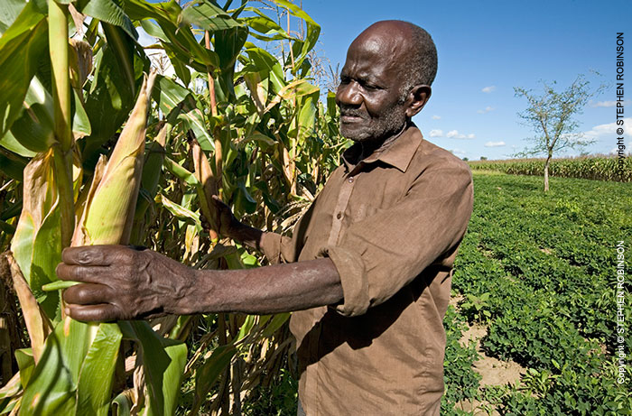007_AgCF.0025-African-Conservation-Farmer-&-Crops-Zambia