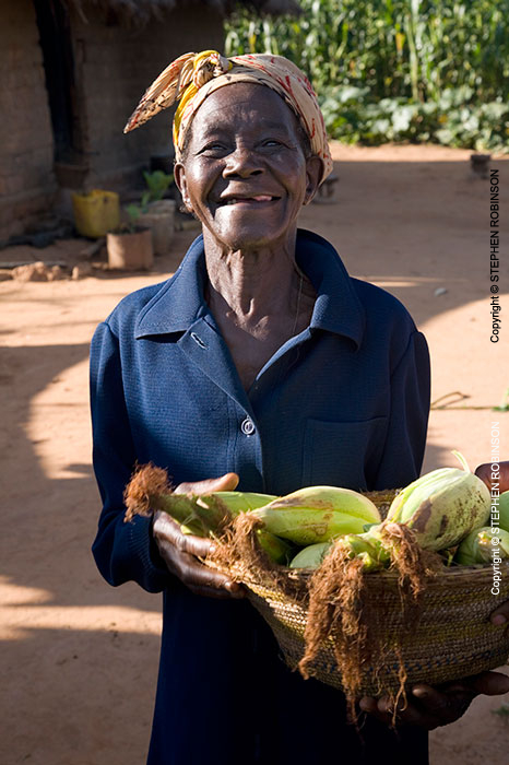 015_AgCF.0230V-African-Conservation-Farming---Old-Woman-&-Maize-Zambia