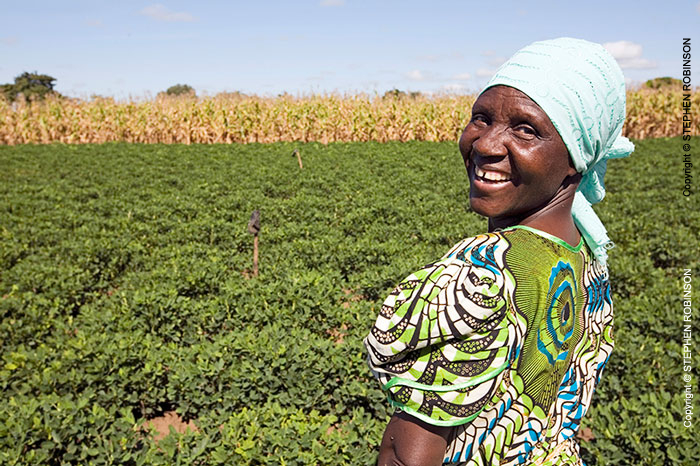 019_AgCF.0587-African-Conservation-Farmer-&-Crops-Zambia