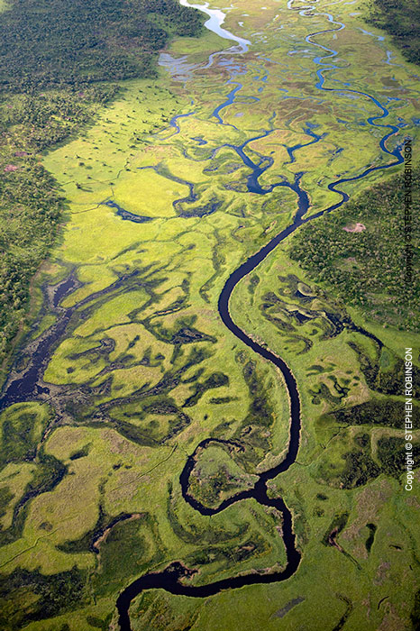 005_LZmL.4423V-Chambeshi-Flood-Plain-aerial-Zambia