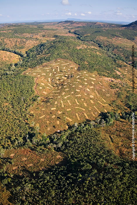 066_FTD.2787V-Slash-&-Burn-Deforestation-for-Trad-Farming-Zambia