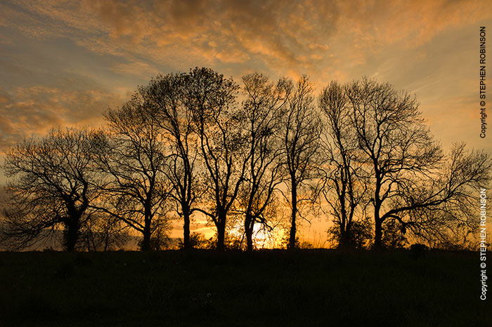 022_LUk.1428-Spring-Sunset-England