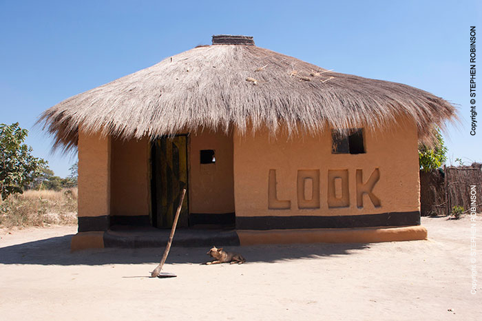 001_CZmA.7352-African-Named-House-'Look'