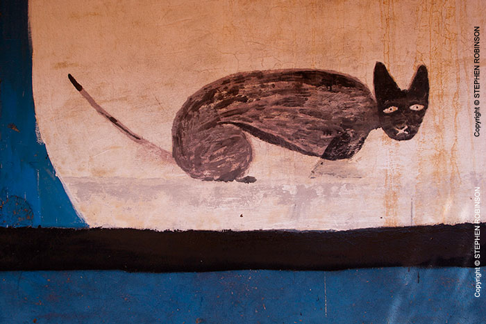 030_CZmA.8198-African-Painted-House-Cat-Detail