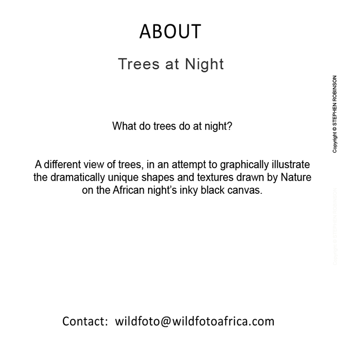 000_GalleryInfoImage-700pxl-LR-Trees-at-Night[rev1]-sfw