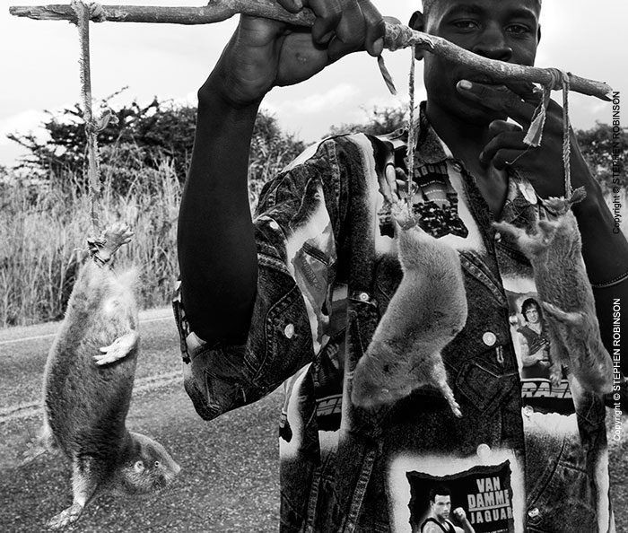001_PZmC.4181BW-Mole-Rat-Seller-Zambia