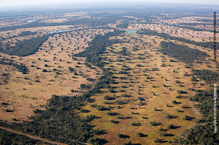 006_FTD.1613-Deforestation-for-Commercial-Farming-Zambia-aerial