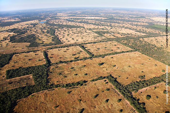 007_FTD.1617-Deforestation-for-Commercial-Farming-Zambia-aerial