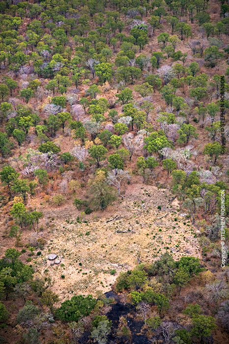 021_FTD.3031V-Slash-&-Burn-Deforestation-Zambia-aerial