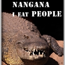 015_GSL.9312-Tourist-Croc-Park-Poster-Print-size1m-framed