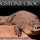 002-Croc-Park-Billboard-size5m