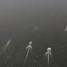 01_SZmR.0525-Rowing-on-Zambezi-Scenic-aerial