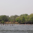 03_SZmR.0372-Oxford-&-Cape-Town-Men's-Eights-Race-500m