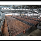 014_Min.0391-Mining-Show-Exhibition-Print-size60cm-Mopani Mines