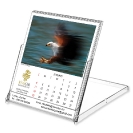 002_CD-Calendar-Africa-Link-Pg2FishEagle