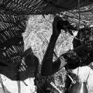 008_Pg3-Fishing-Baskets-Luapula-River-N-Zambia