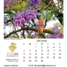 023_Artwork-Pg10-Sept-Jacaranda