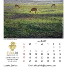 003_Artwork-Pg2-January-Grazing