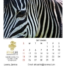 019_Artwork-Pg10-Sept-Zebra