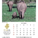 021_Artwork-Pg11-Oct-Elephants