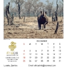 025_Artwork-Pg13-Dec-Black Rhino Charge