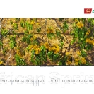 006_African-Spring-Corporate-Wall-Calendar-for-ZNCB-Bank-Pg3