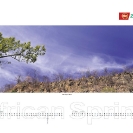 008_African-Spring-Corporate-Wall-Calendar-for-ZNCB-Bank-Pg4