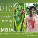 003-Agric-Project-Project-Wall-&-Desk-Calendars 2010