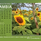 006-Agric-Project-Project-Wall-&-Desk-Calendars 2010