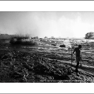 002_LZmS.2880BW-Zambezi-R-at-Victoria-Falls