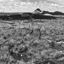 Africa - Landscapes B+W