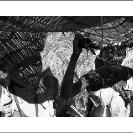 004_PZmL.7186BW-Fishing-Baskets-Luapula-River-N-Zambia