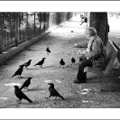 007_UFr-1640BW-Bird-Feeder-Paris