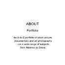 Portfolio - About_1