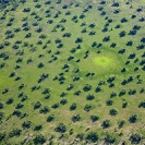 003_LZmL.4339 Chambeshi Flood Plain aerial