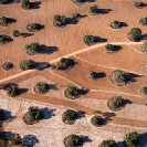 001_AgC.1629-Farmland-aerial-Zambia