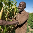 007_AgCF.0025-African-Conservation-Farmer-&-Crops-Zambia