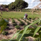 013_AgCF.0090-Woman-African-Conservation-Farmer-Crops-&-Village-Zambia