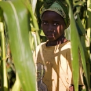 014_AgCF.0218V-African-Conservation-Farming---Girl-in-Maize-Field-Zambia