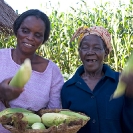 016_AgCF.0239-African-Conservation-Farming---Women-&-Maize-Zambia