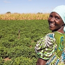 019_AgCF.0587-African-Conservation-Farmer-&-Crops-Zambia