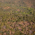 093_FT.2553-Miombo-Woodland-aerial-N-Zambia