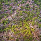 095_FT.3032V-Mopani-Woodland-aerial-E-Zambia