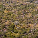 096_FT.7493-Miombo-Woodland-aerial-N-Zambia